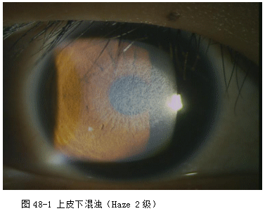 ZY016_260_2.gif